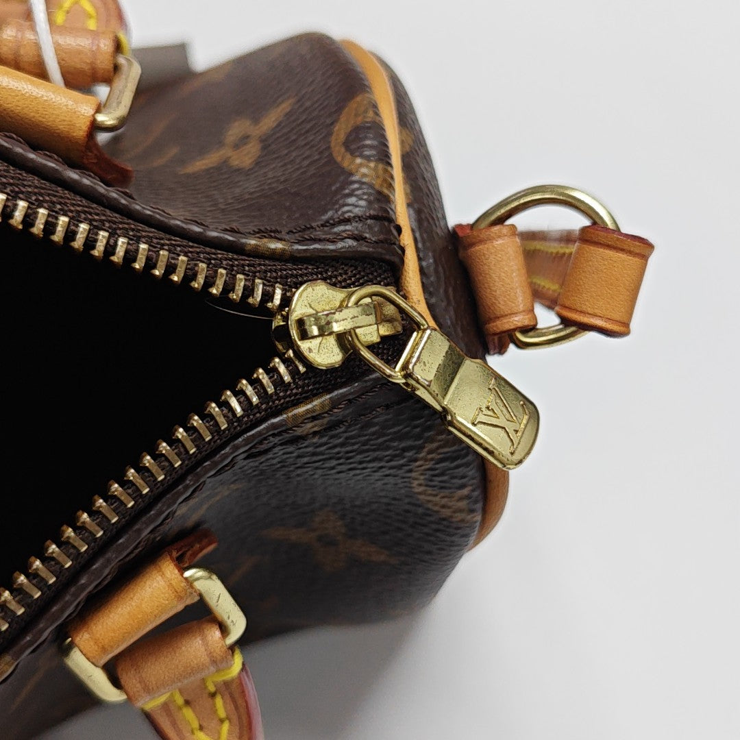 SPEEDY Nano Monogram Coated Canvas Brown