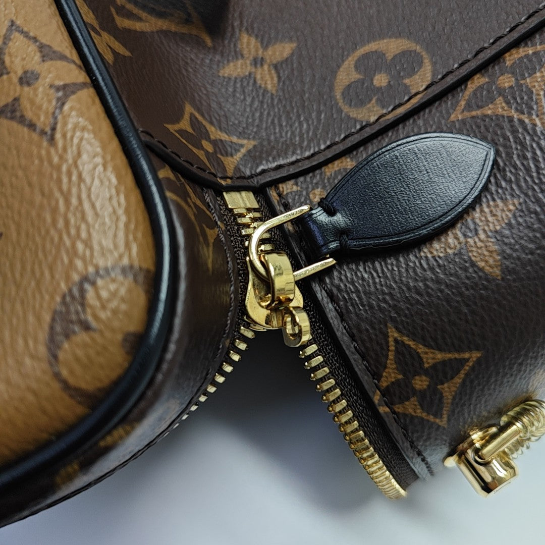 VANITY PM Monogram Coated Canvas Brown
