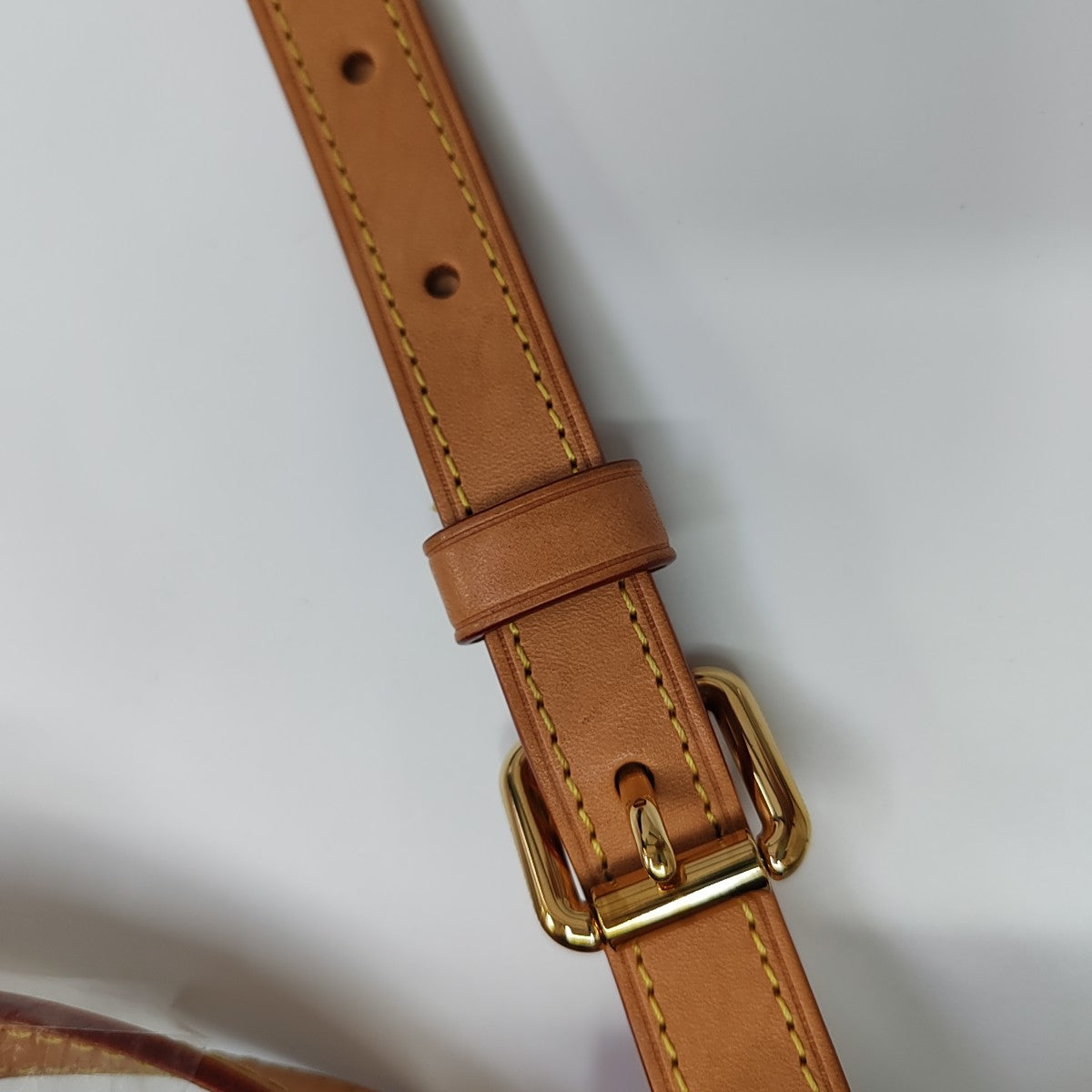 SPEEDY 25 Monogram Coated Canvas Brown