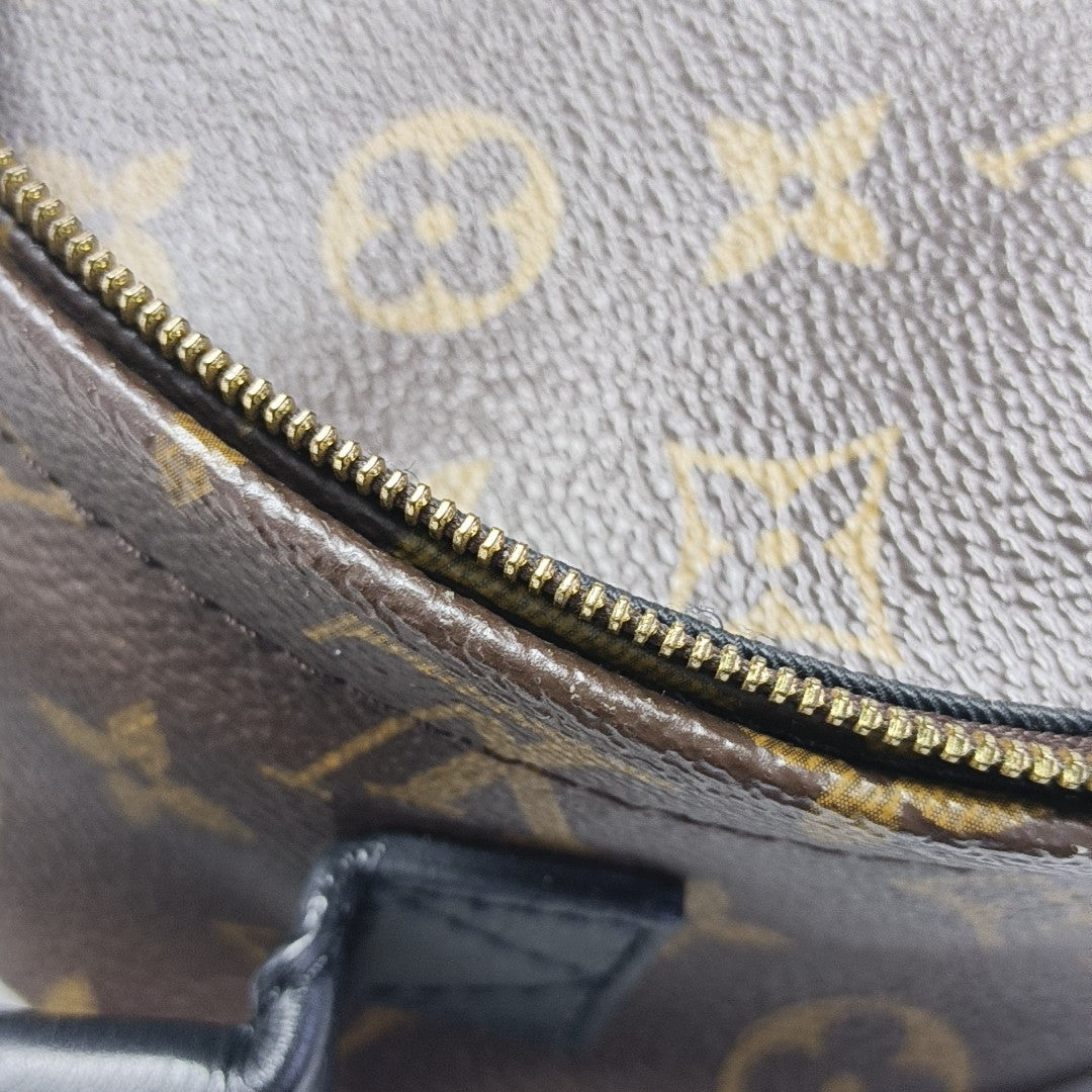 PALM SPRINGS Mini Monogram Coated Canvas Brown