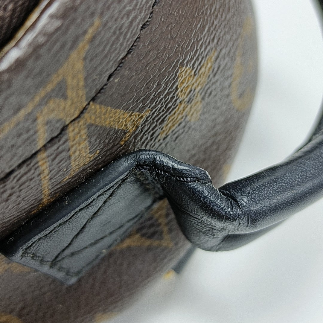 PALM SPRINGS Mini Monogram Coated Canvas Brown