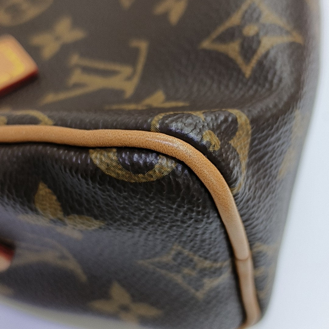 SPEEDY Nano Monogram Coated Canvas Brown