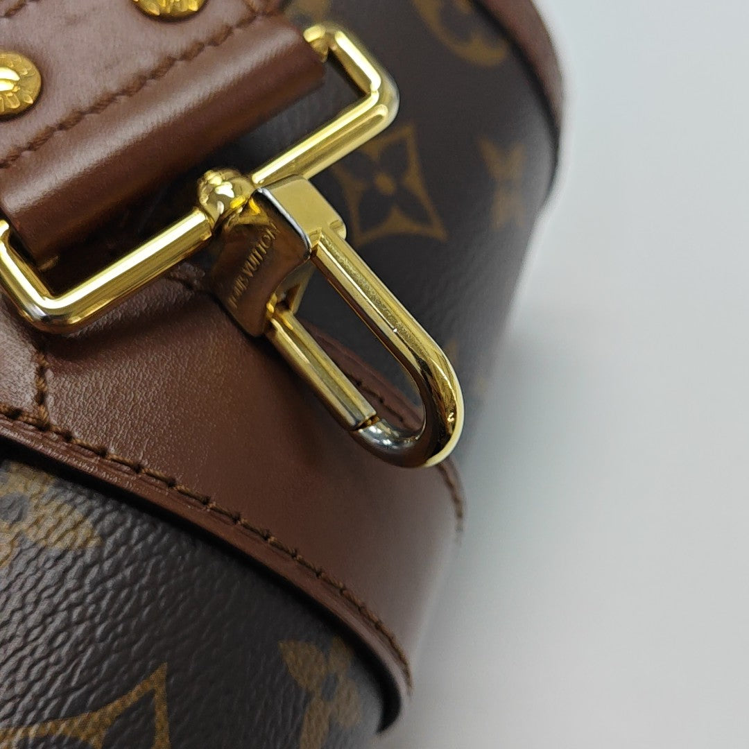PAPILLON 19 Monogram Coated Canvas Brown