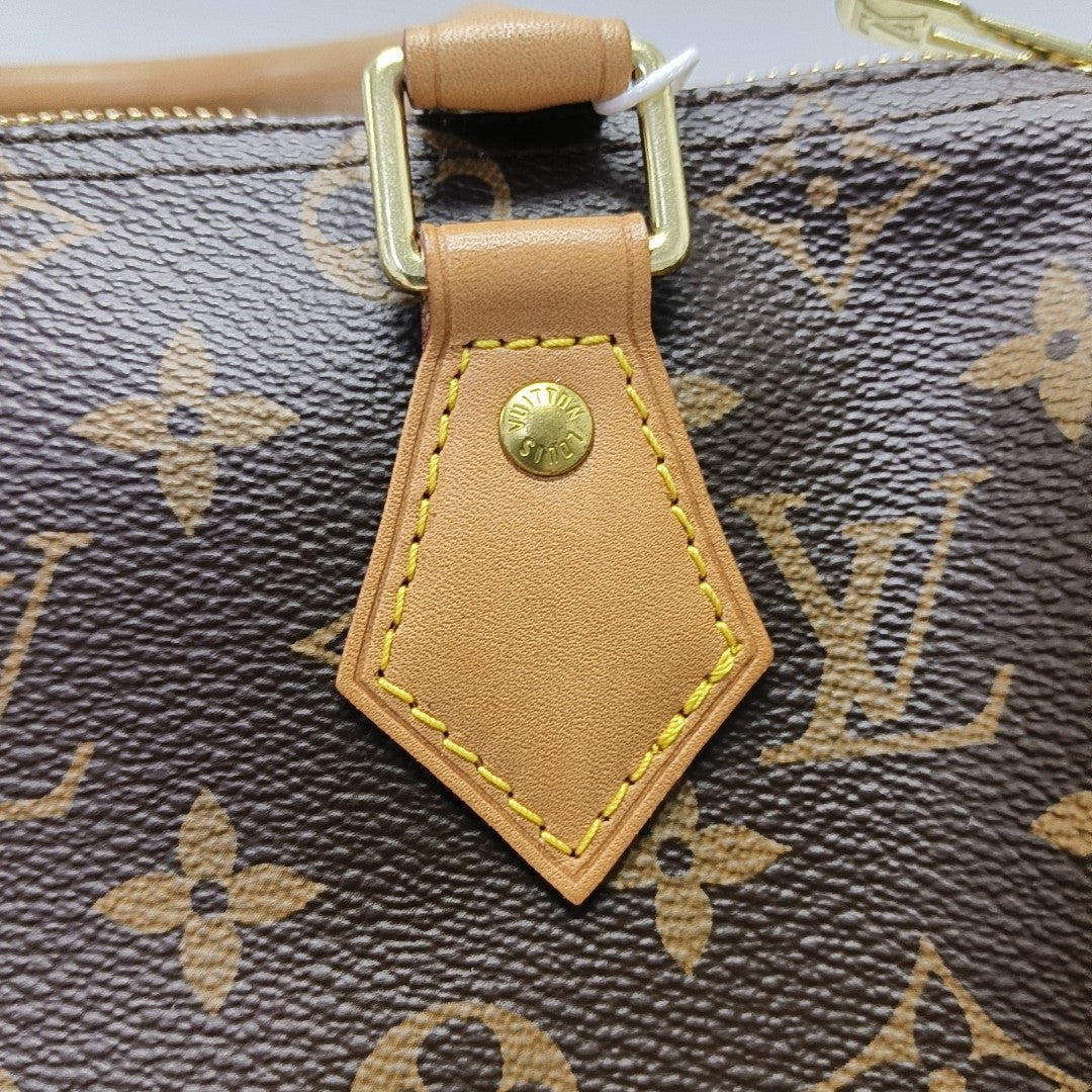 Speedy 25 Lona revestida Monogram marrón