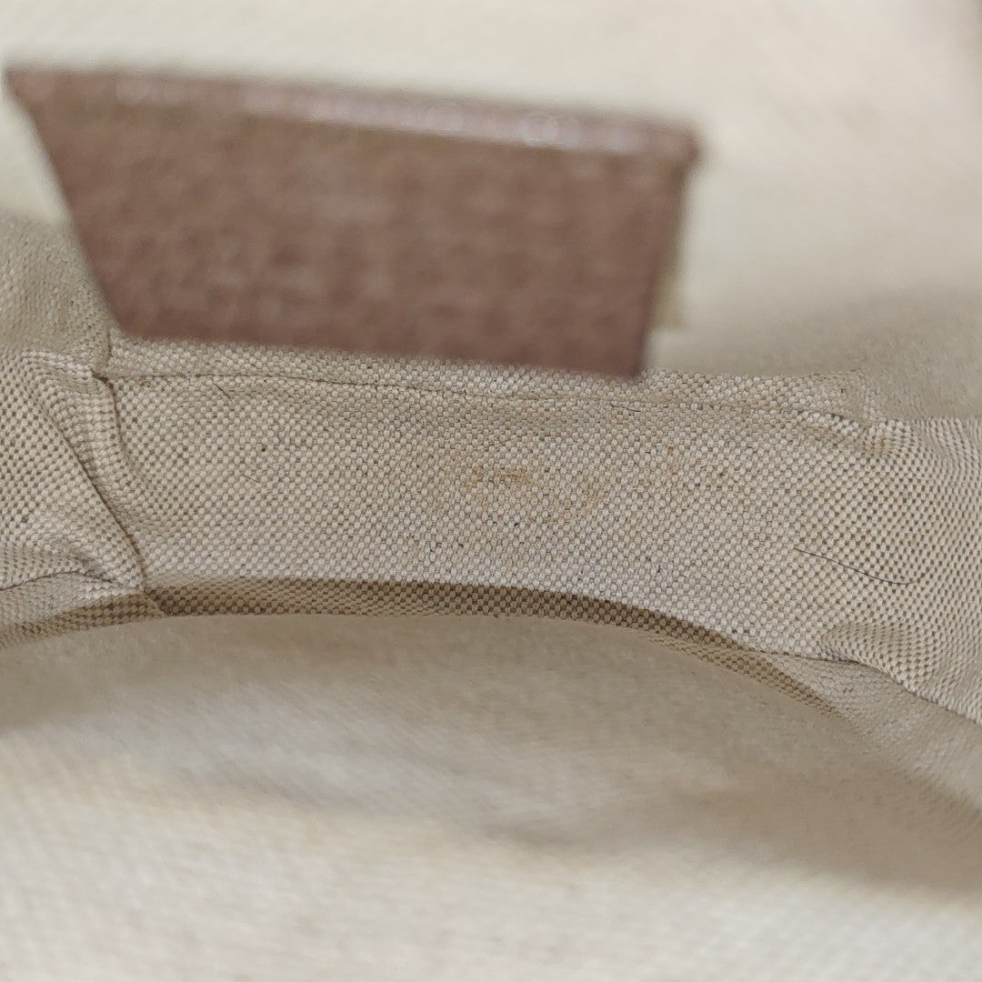 Neo Vintage Mini Monogram Coated Canvas Brown