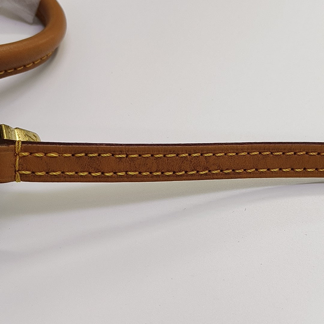SPEEDY Nano Monogram Coated Canvas Brown
