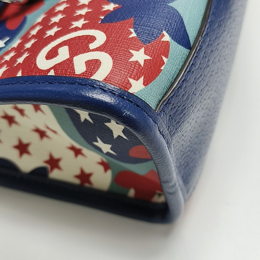 Coated Canvas Multicolor