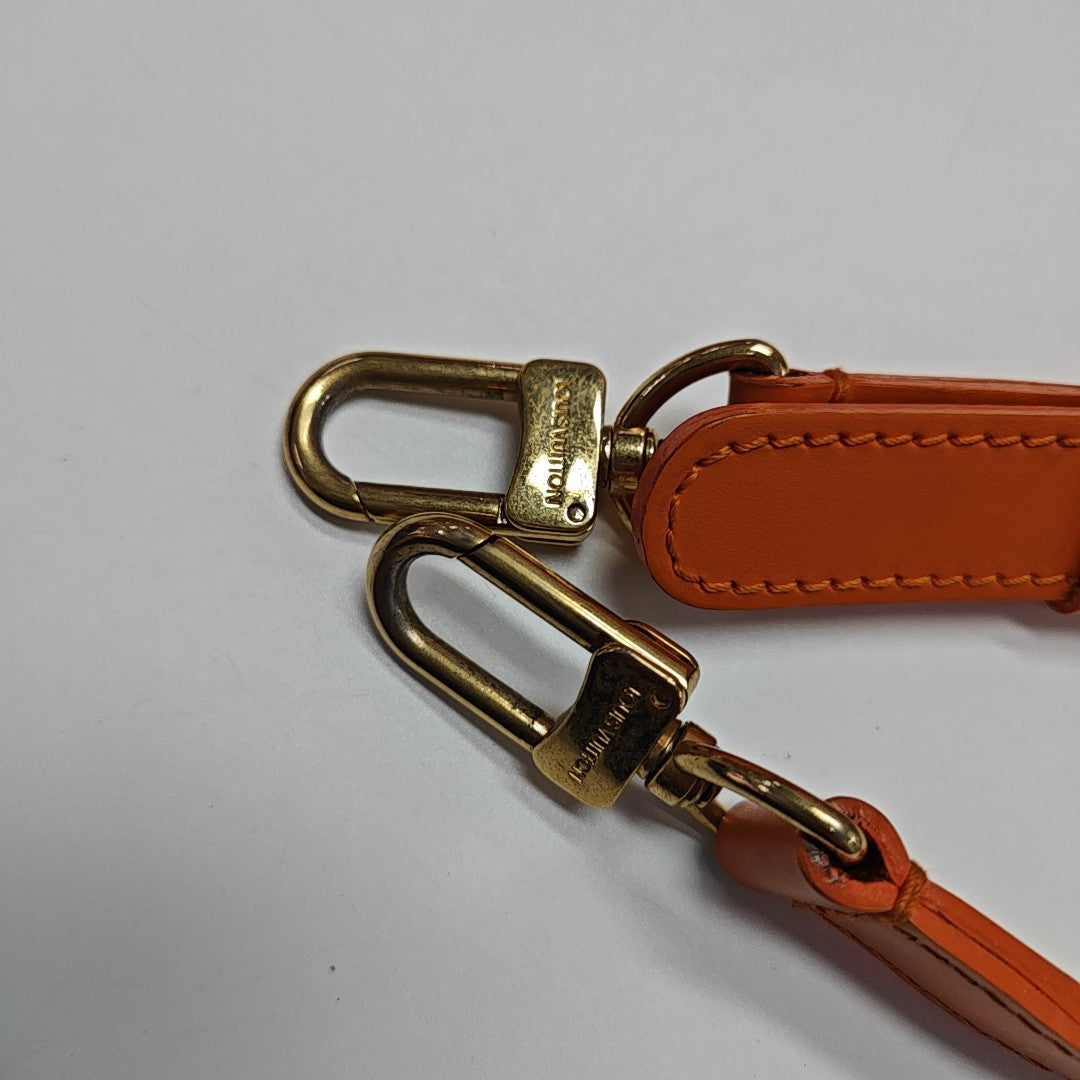 DHANURA GM Epi Orange
