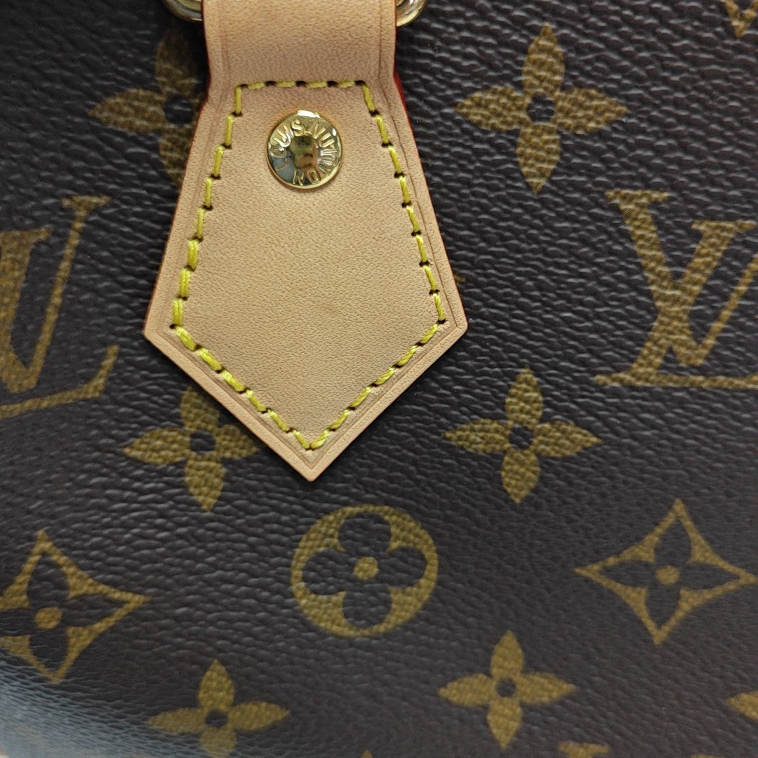 SPEEDY 20 Monogram Coated Canvas Brown
