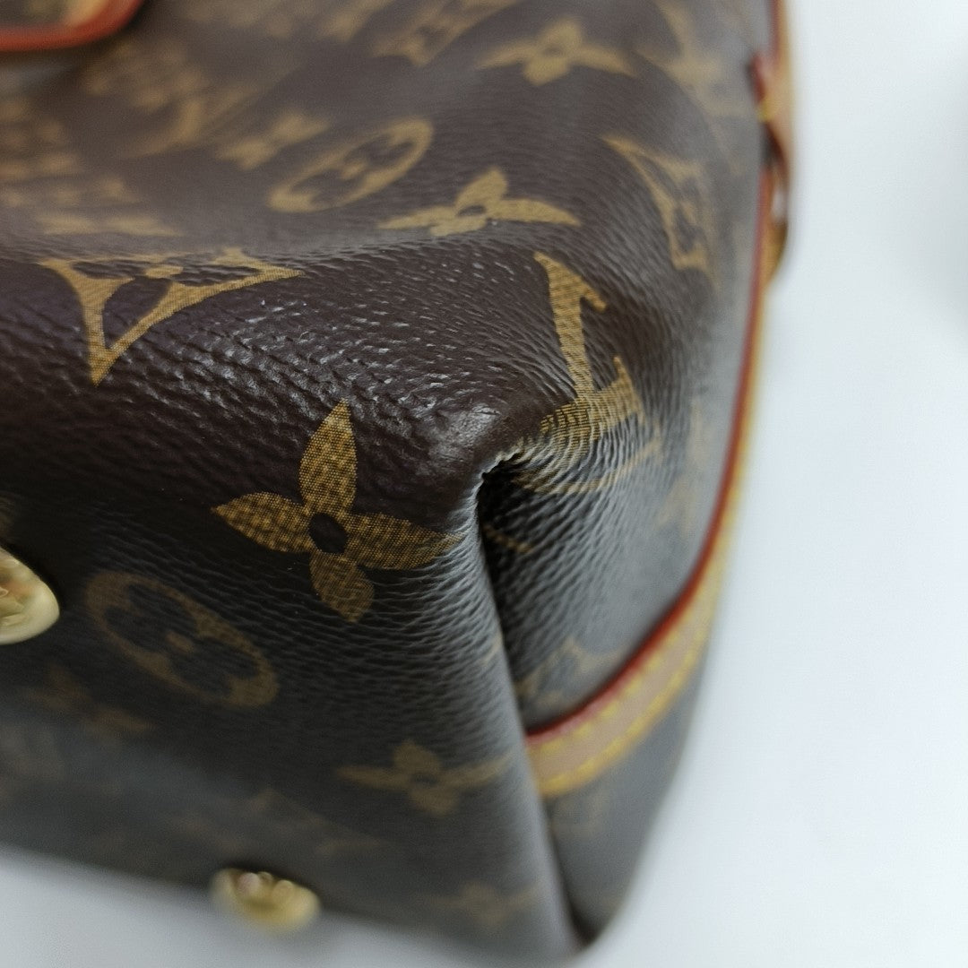 CARRYALL PM Monogram Coated Canvas Brown
