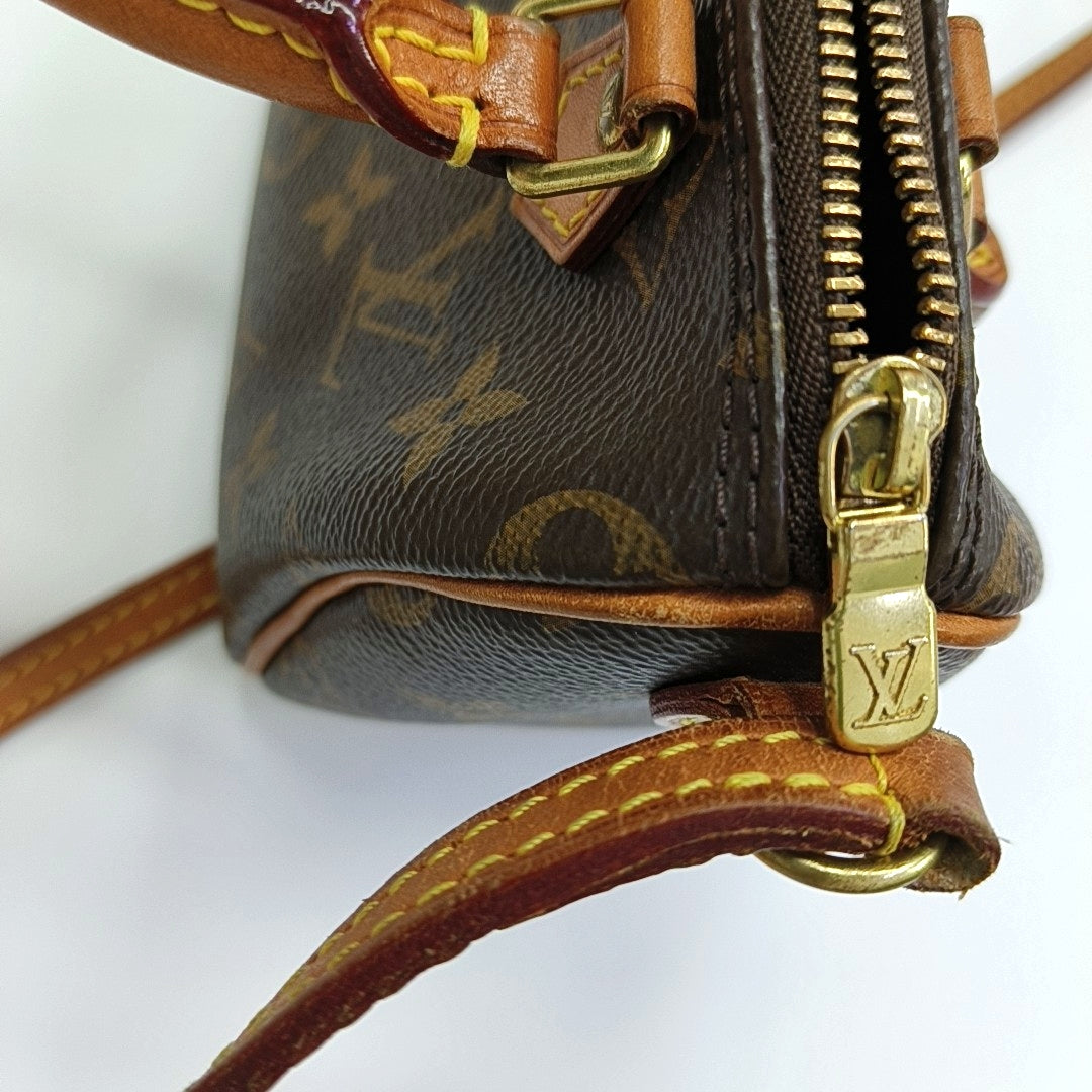 SPEEDY Nano Monogram Coated Canvas Brown