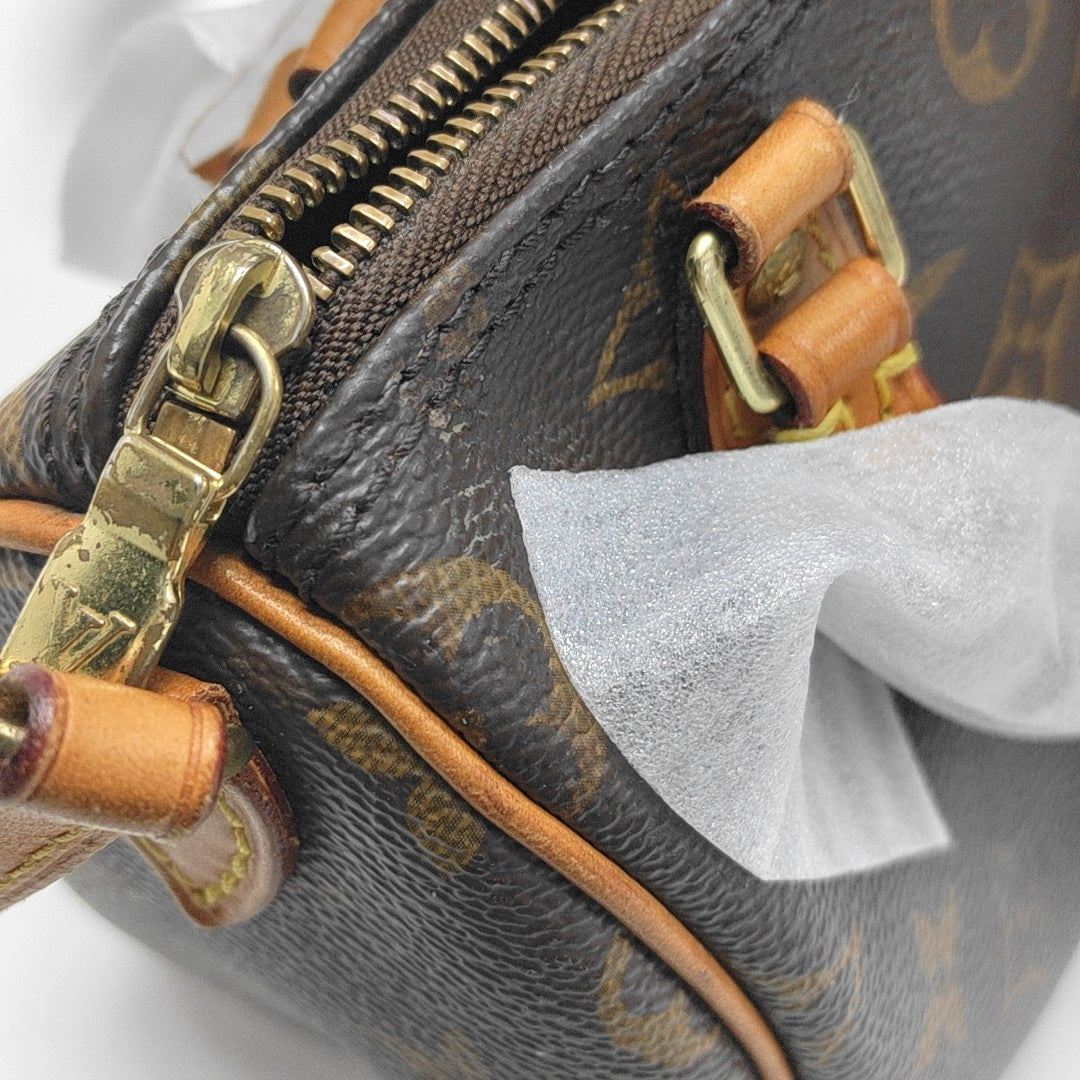 SPEEDY Nano Monogram Coated Canvas Brown