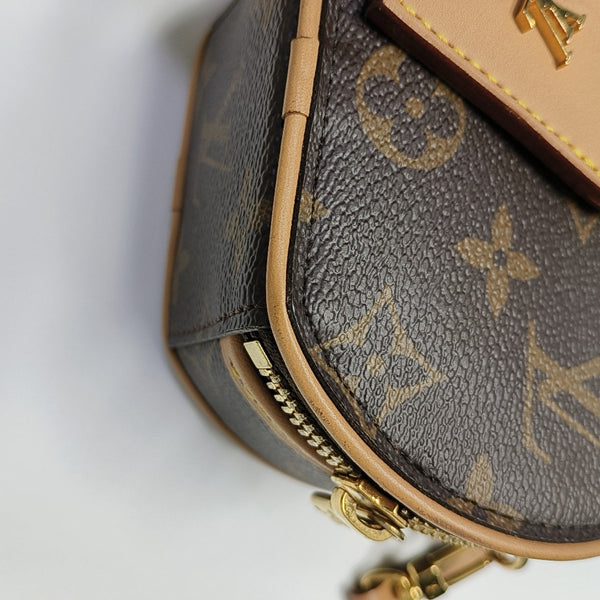 BOITE CHAPEAU Mini Monogram Coated Canvas Brown