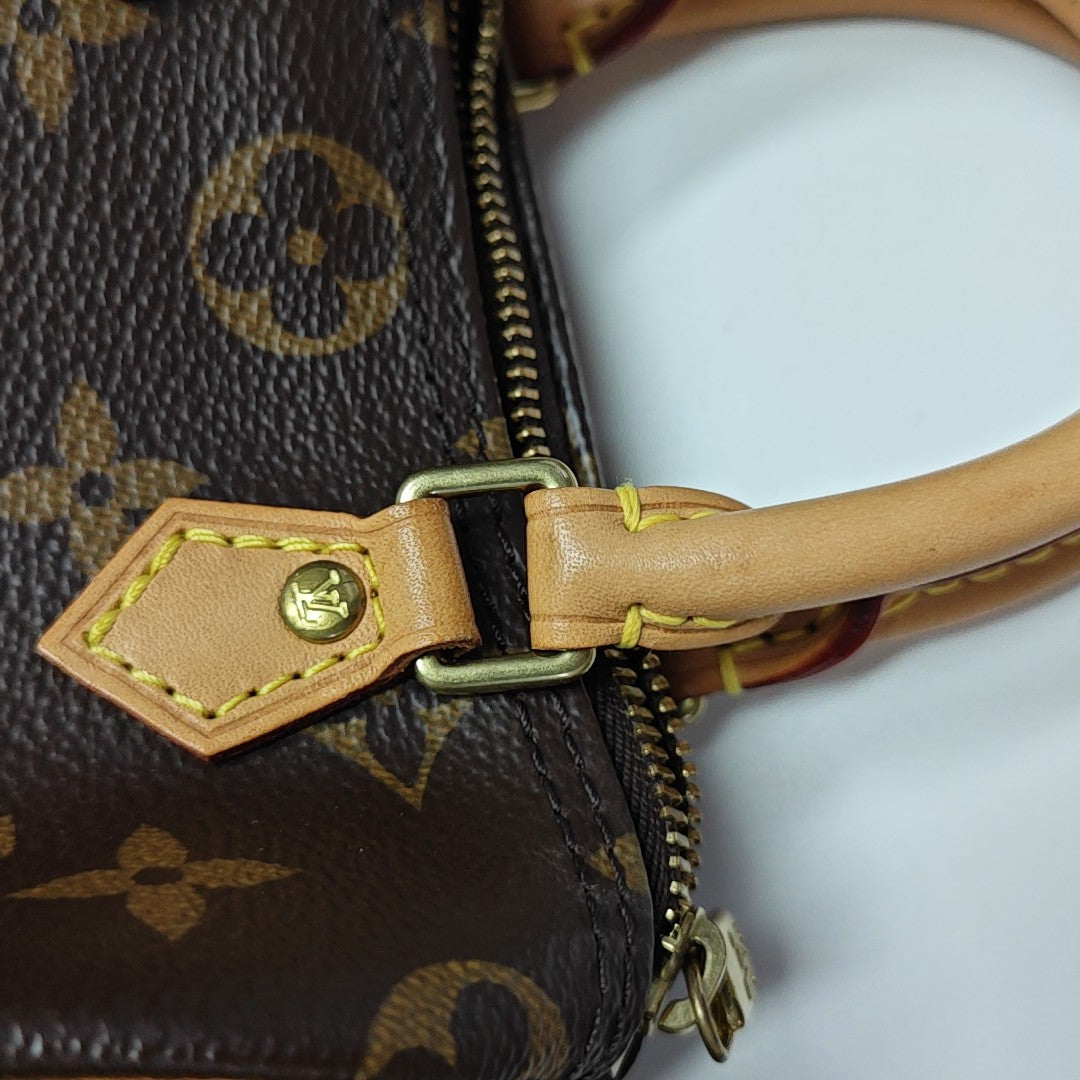 SPEEDY Nano Monogram Coated Canvas Brown