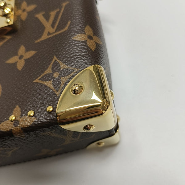CAMERA BOX Monogram Coated Canvas Brown
