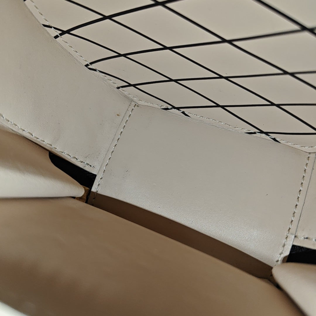 BOITE CHAPEAU Mini Monogram Coated Canvas Brown