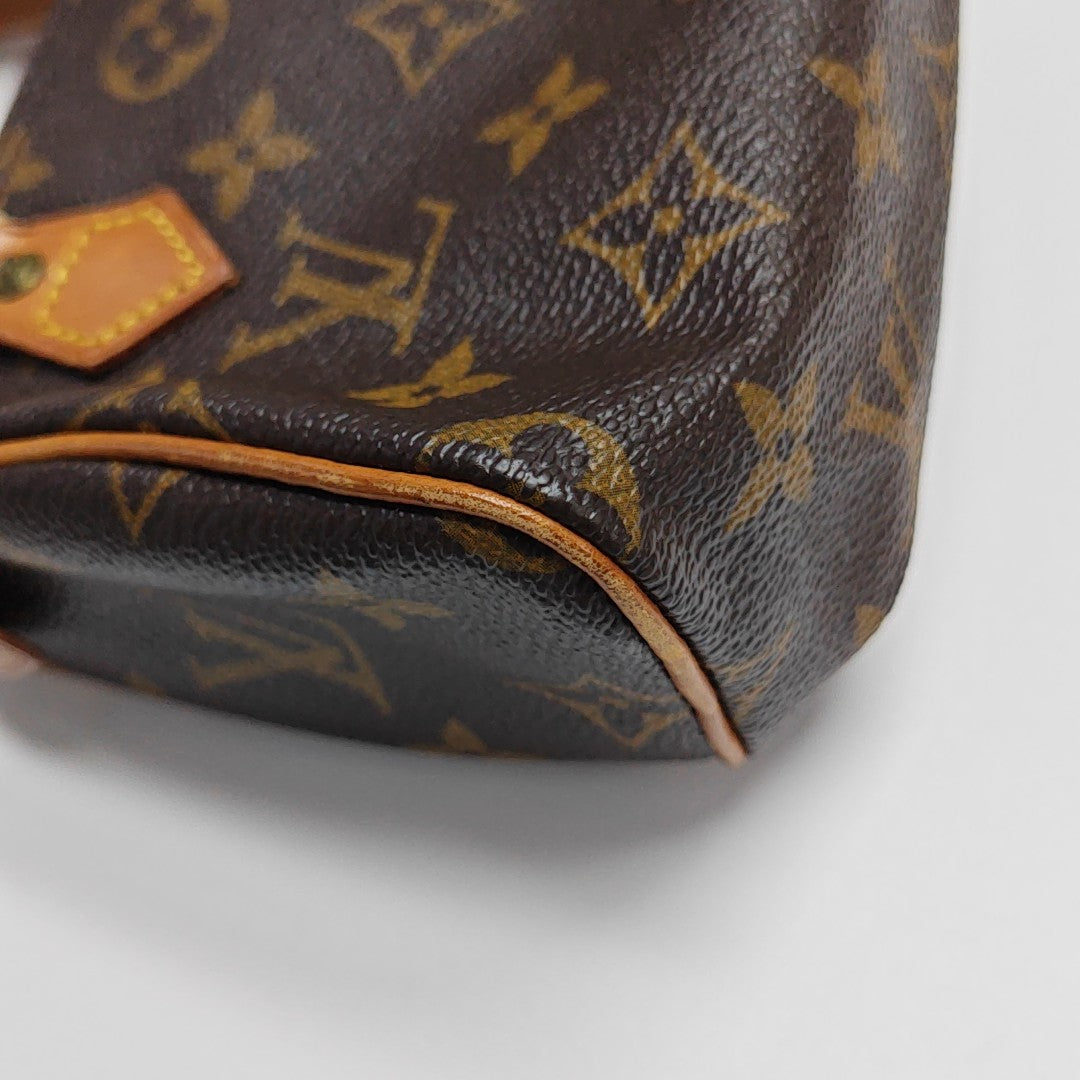 SPEEDY Nano Monogram Coated Canvas Brown