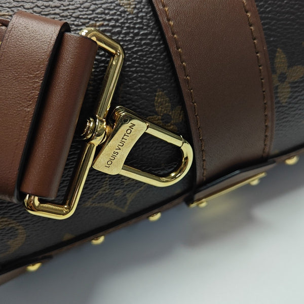 PAPILLON 19 Monogram Coated Canvas Brown