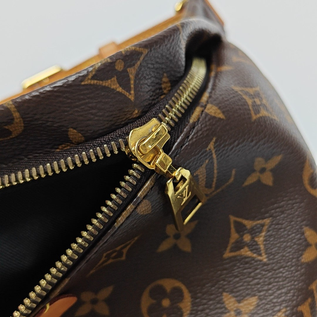 BUMBAG Monogram Coated Canvas Brown