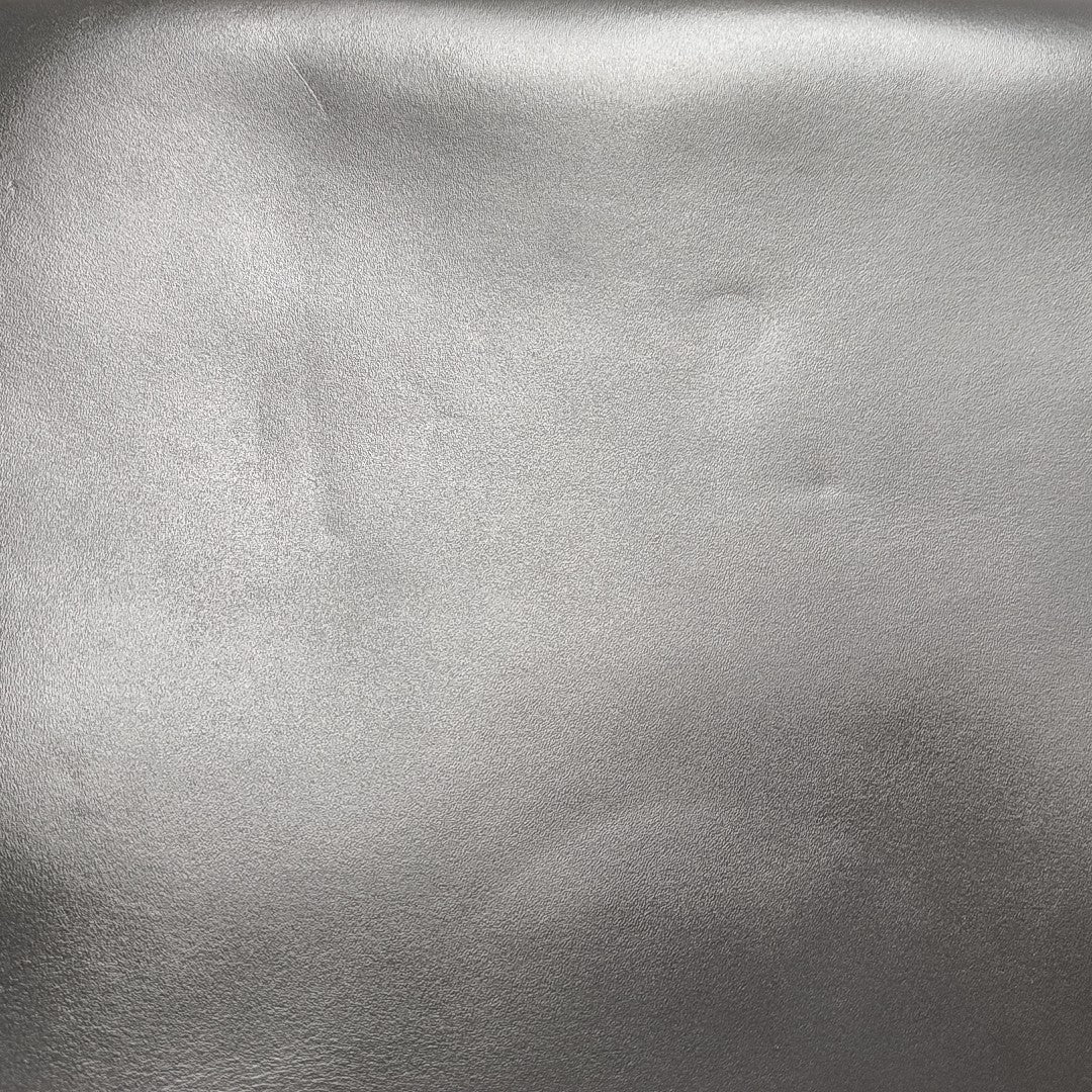Sunshine Medium Calfskin Gray