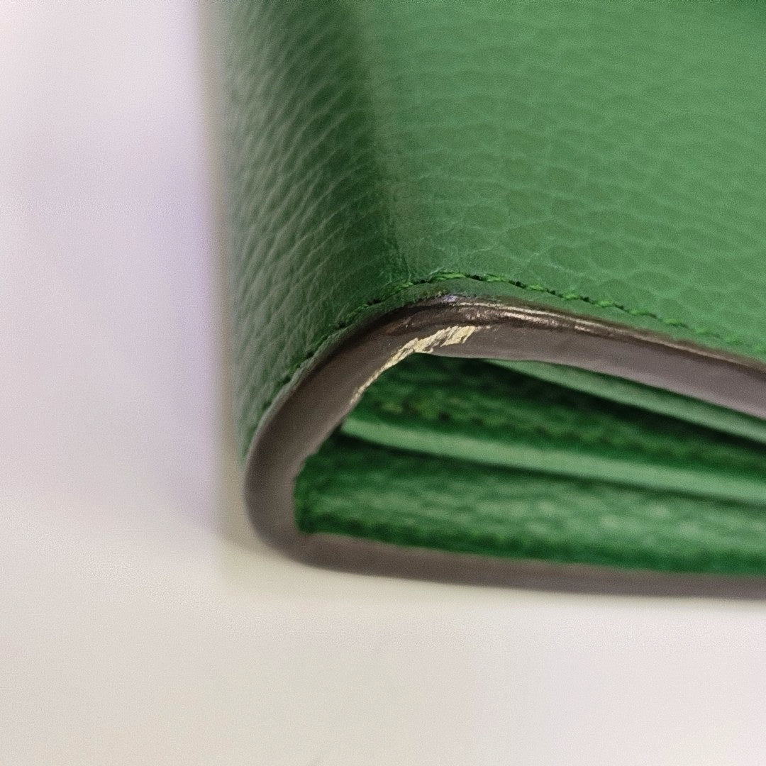 Dionysus Mini Calfskin Green
