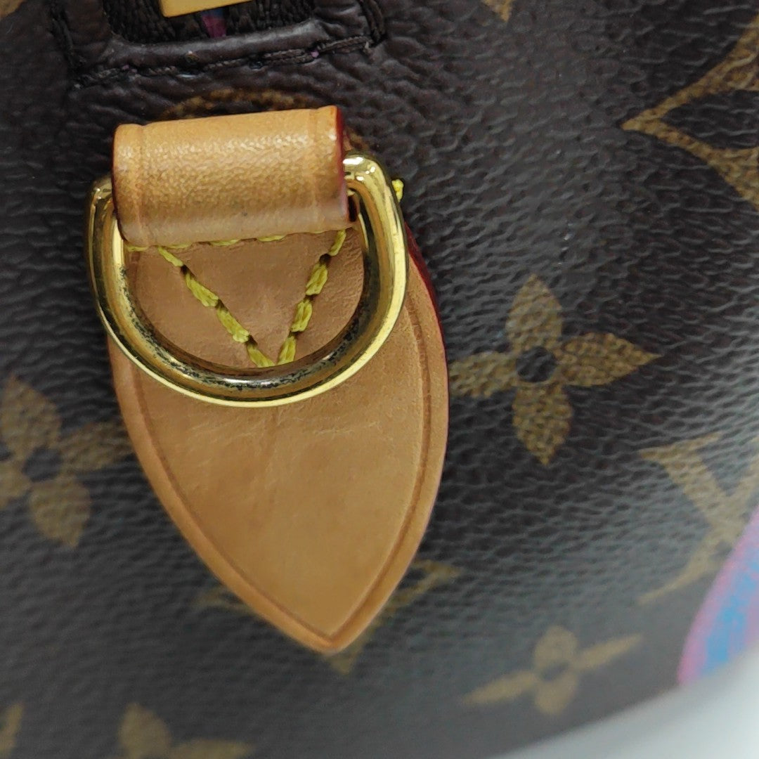 SPEEDY 20 Monogram Coated Canvas Brown