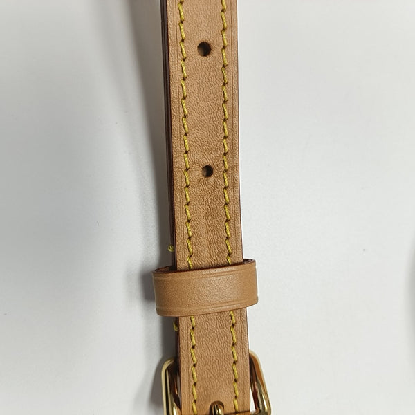 SPEEDY Nano Monogram Coated Canvas Brown