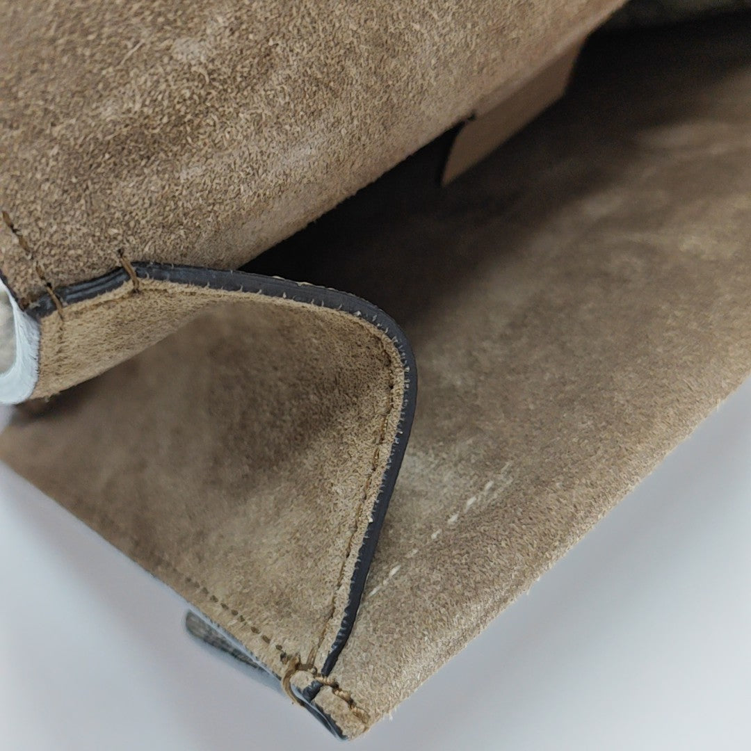 Dionysus Mini Monogram Coated Canvas Beige