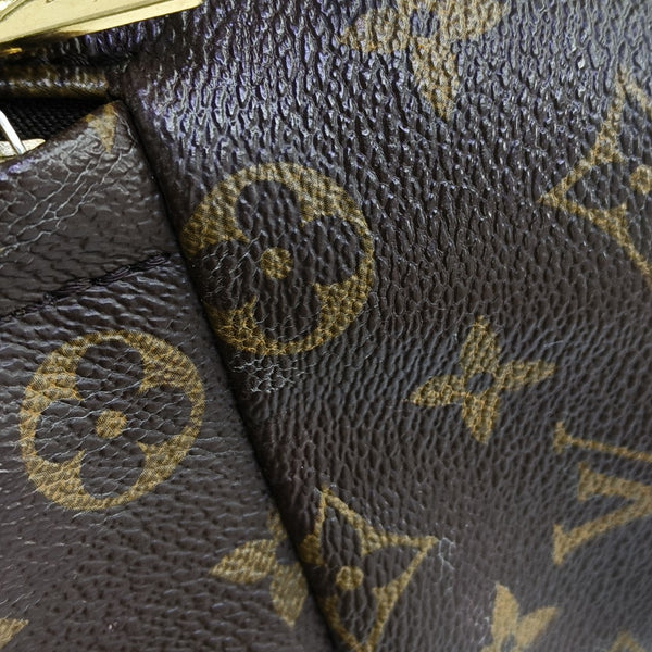 Monogram Coated Canvas Backpack Brown