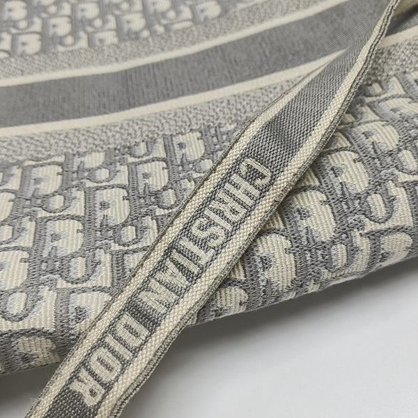Diorcamp Large Oblique Canvas Gray