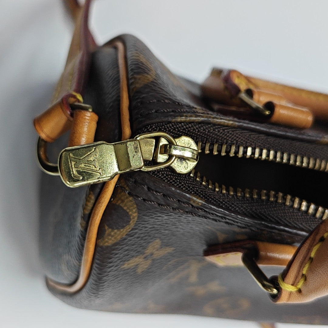 SPEEDY Nano Monogram Coated Canvas Brown
