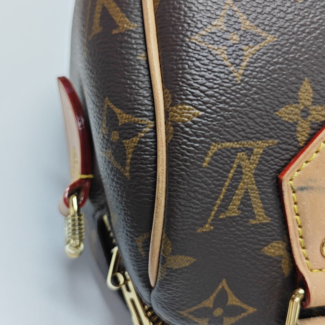 SPEEDY 20 Monogram Coated Canvas Brown