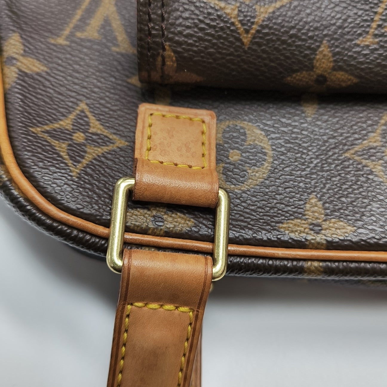 EXCENTRI-CITE Monogram Coated Canvas Brown
