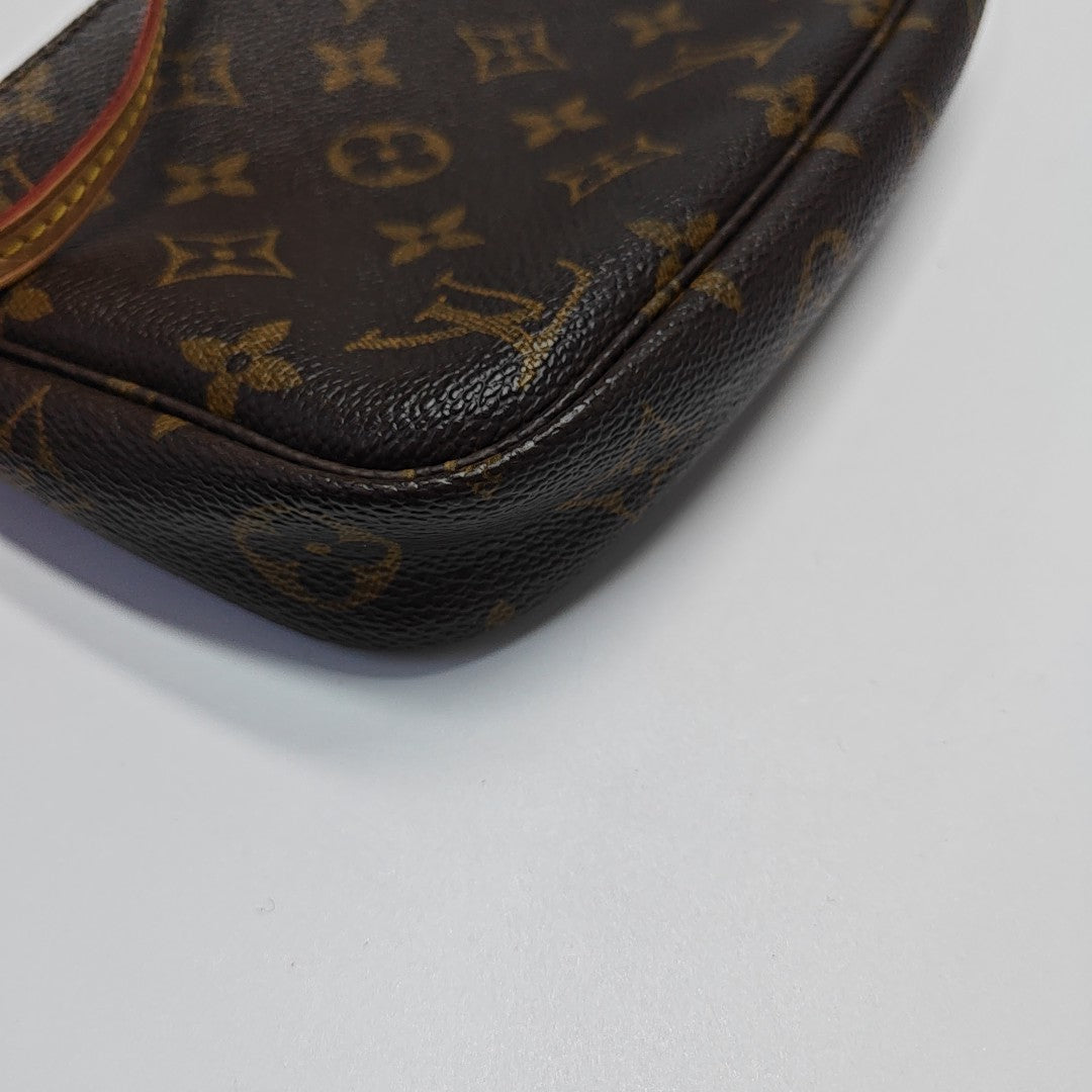 ACCESSOIRES Monogram Coated Canvas Brown