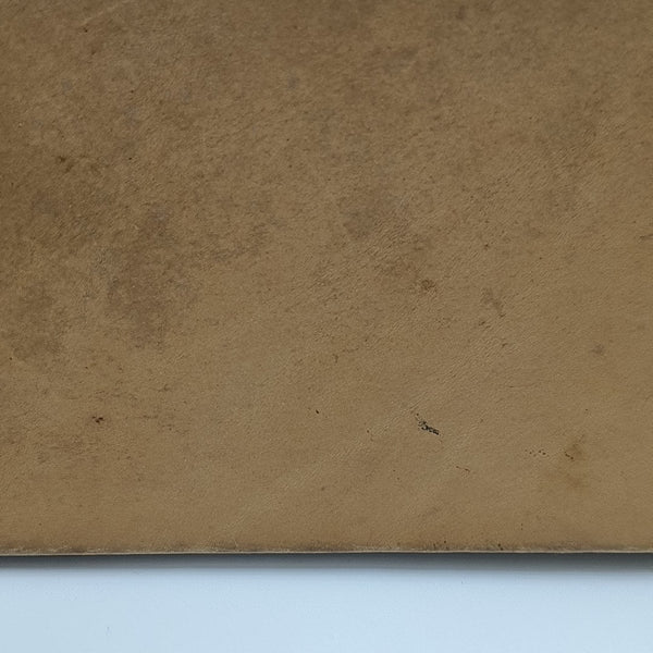 ALMA GM Monogram Coated Canvas Brown
