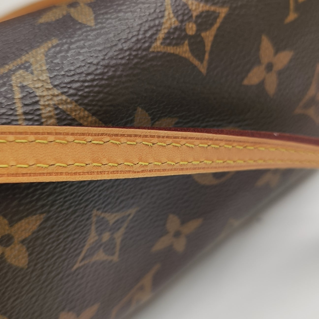 SPEEDY Nano Monogram Coated Canvas Brown