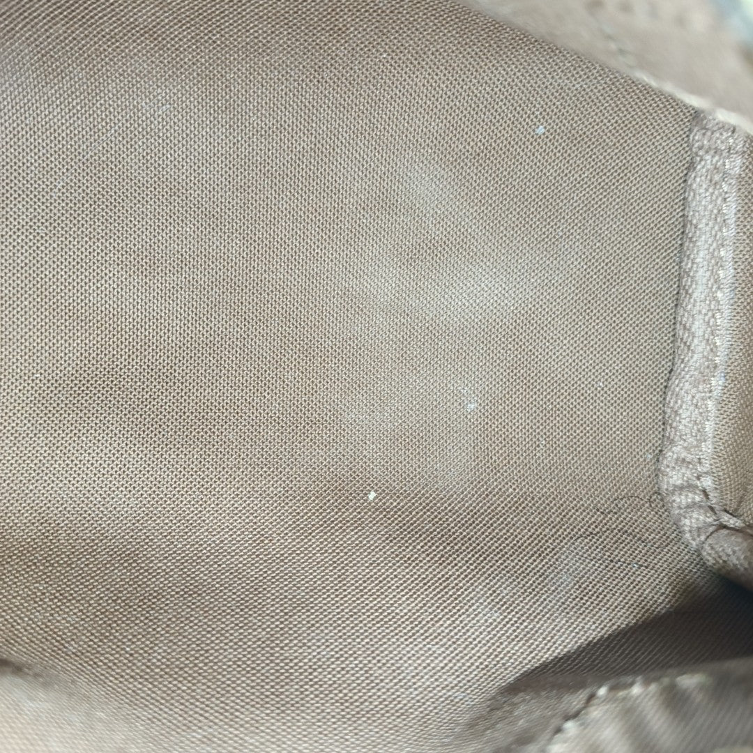 SPEEDY Nano Monogram Coated Canvas Brown