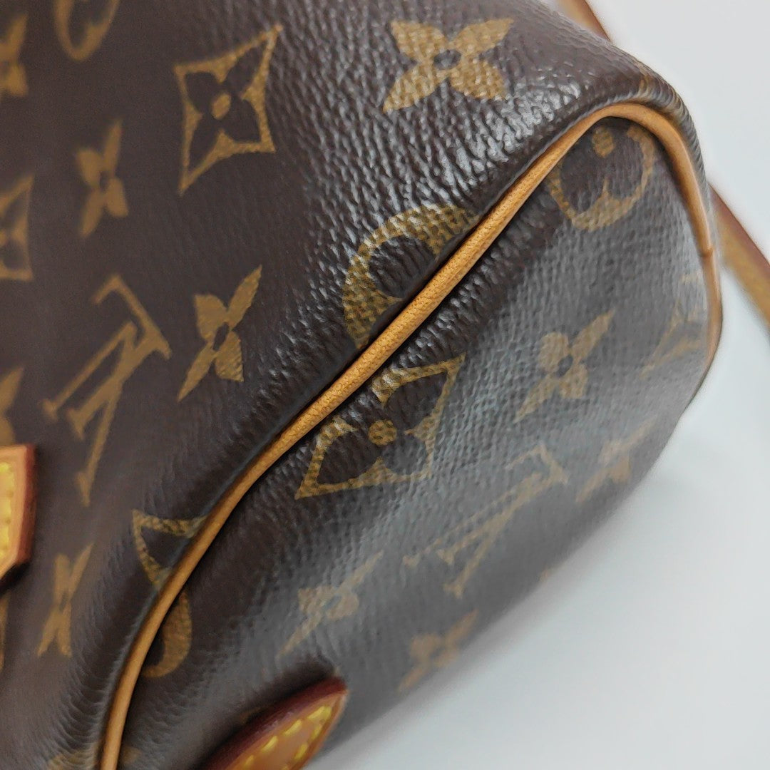 SPEEDY Nano Monogram Coated Canvas Brown