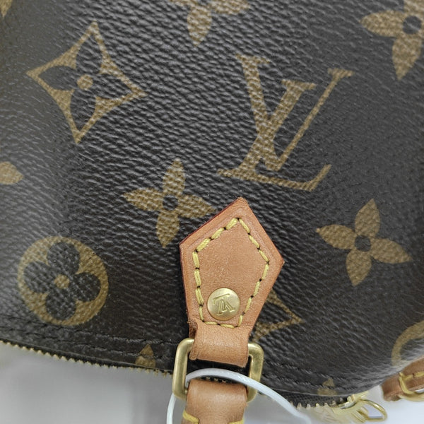 SPEEDY Nano Monogram Coated Canvas Brown