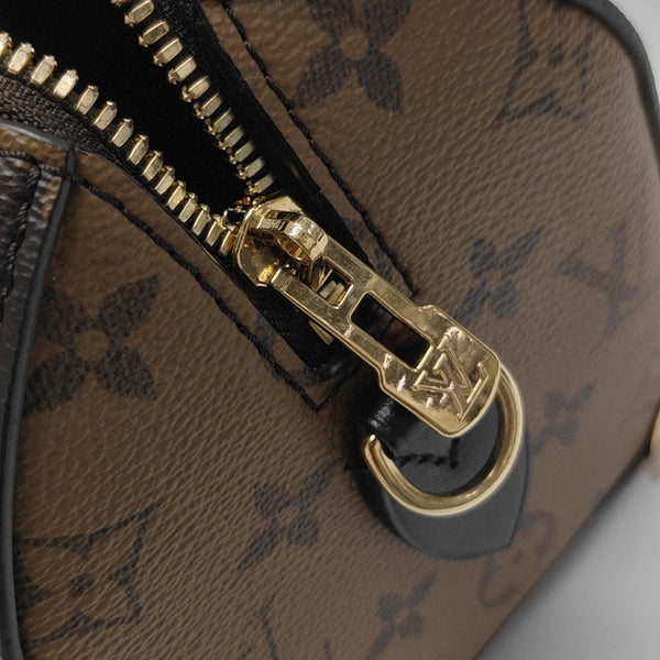 SPEEDY TRUNK 20 Monogram Coated Canvas Brown