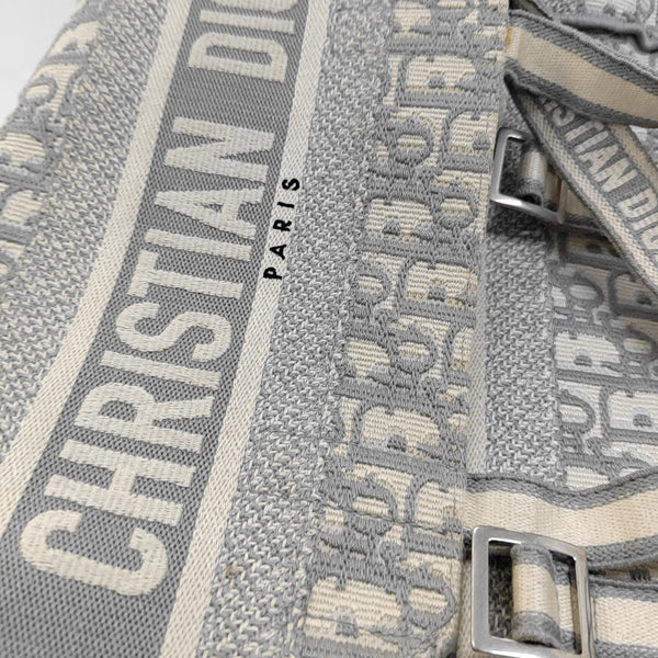 Diorcamp Large Oblique Canvas Gray