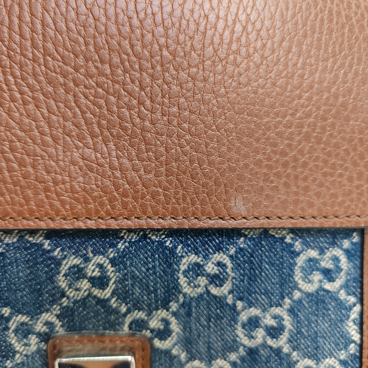 Dionysus Mini Monogram Denim Blue