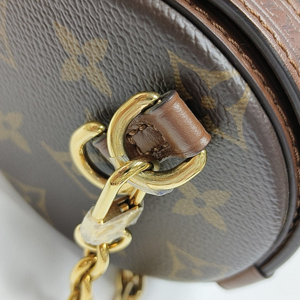 PAPILLON 19 Monogram Coated Canvas Brown