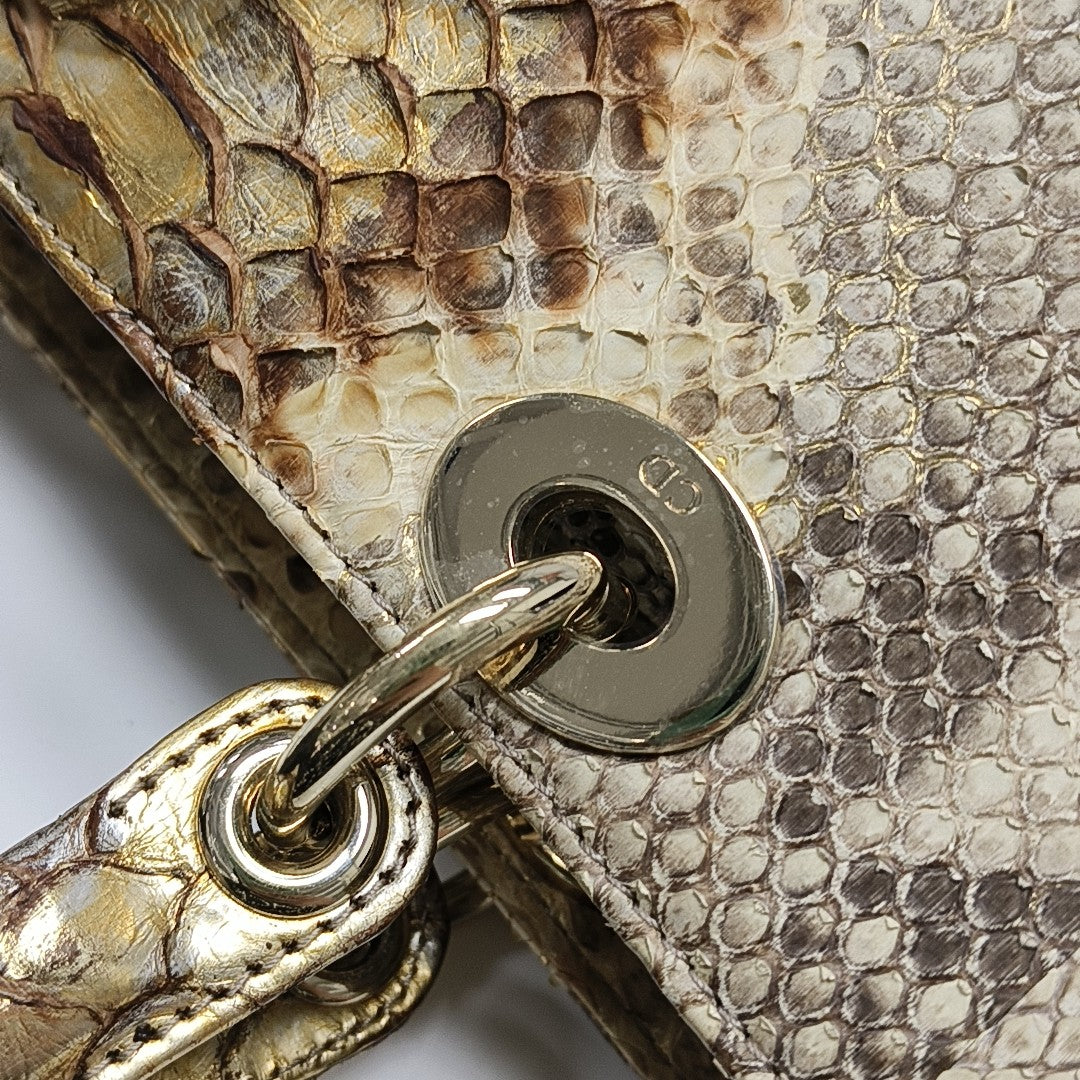 Lady Dior Large Python Multicolor