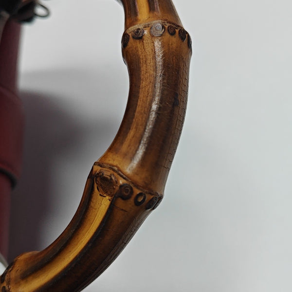 Dionysus Mini Calfskin Red