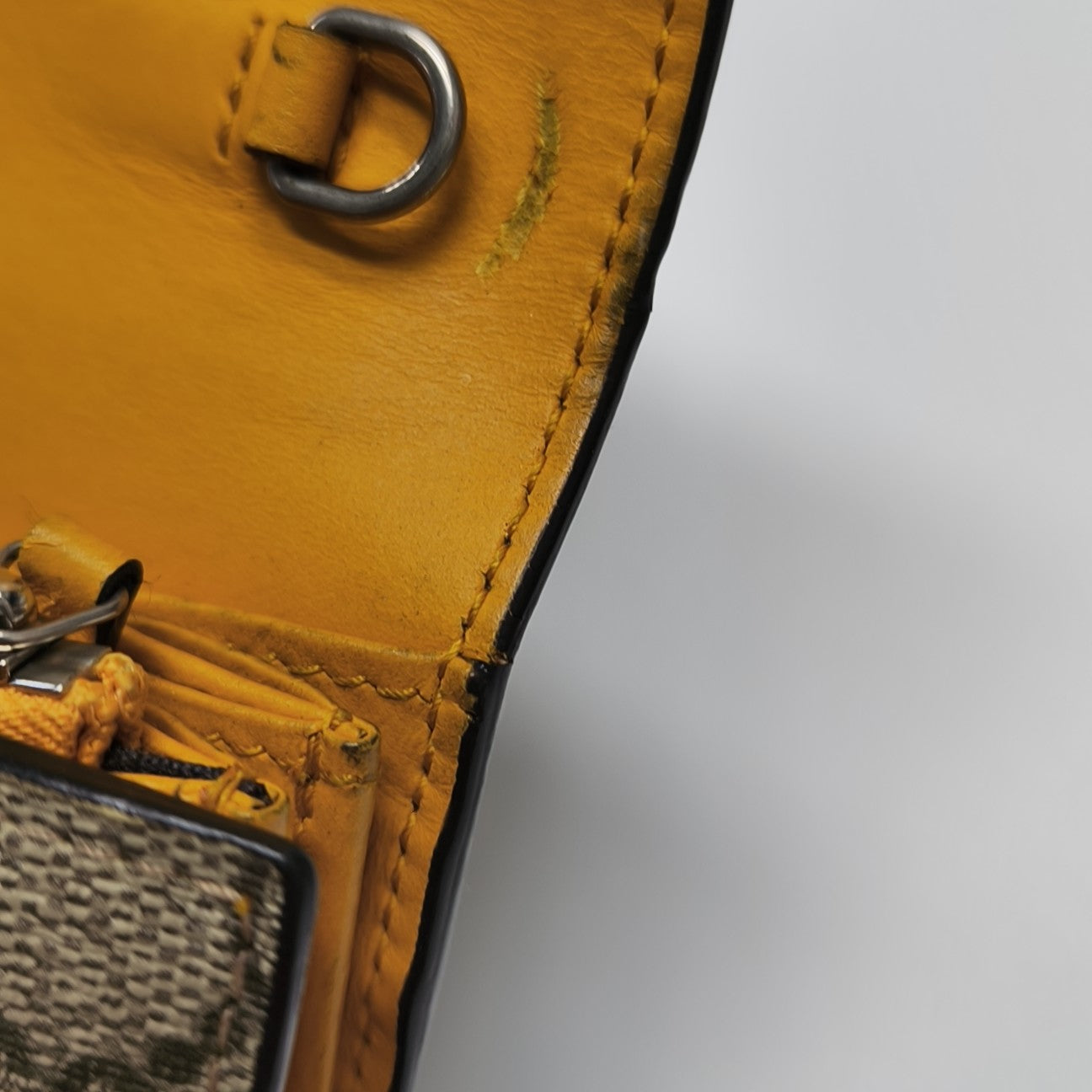 Dionysus Mini Monogram Coated Canvas Beige