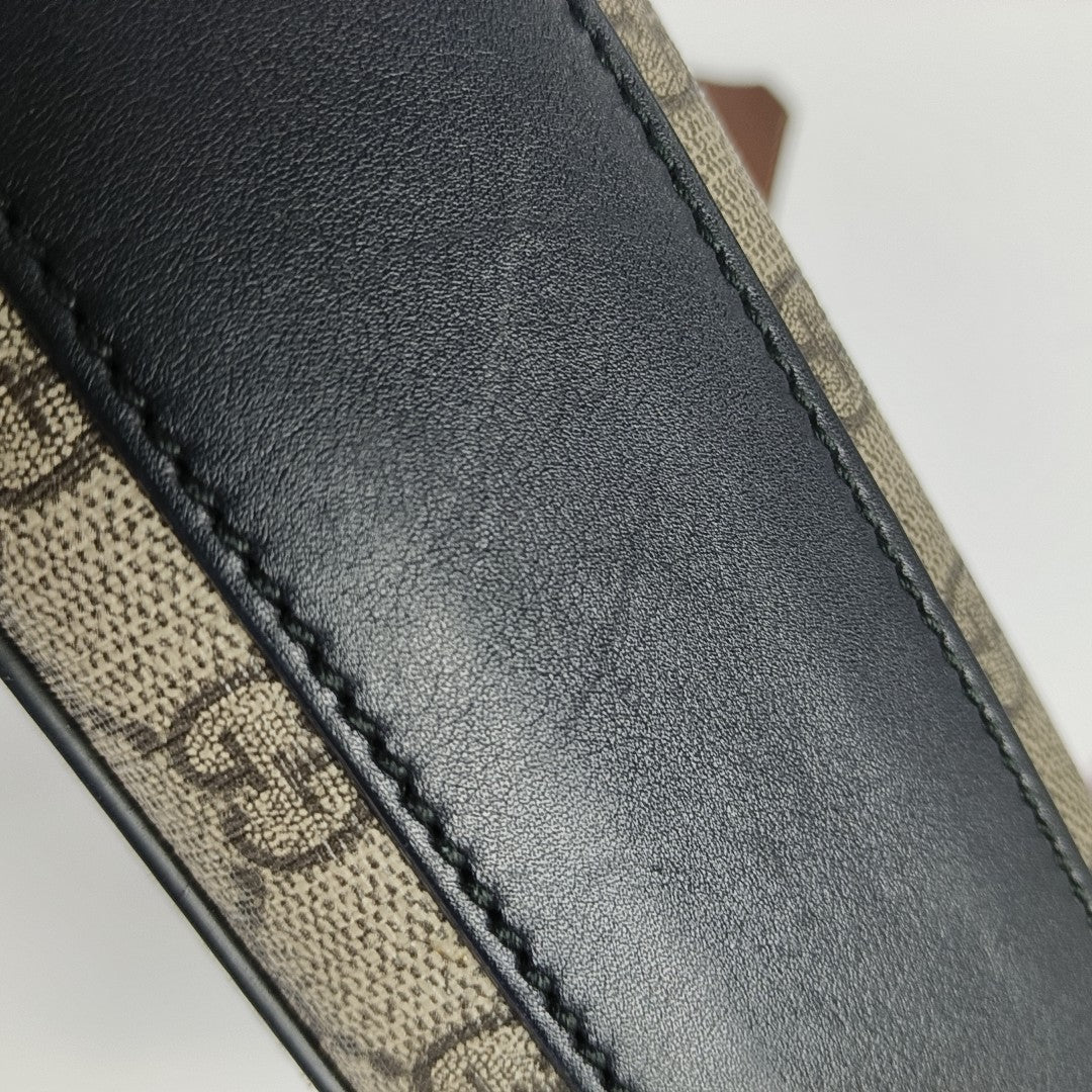 Padlock Small Monogram Coated Canvas Multicolor
