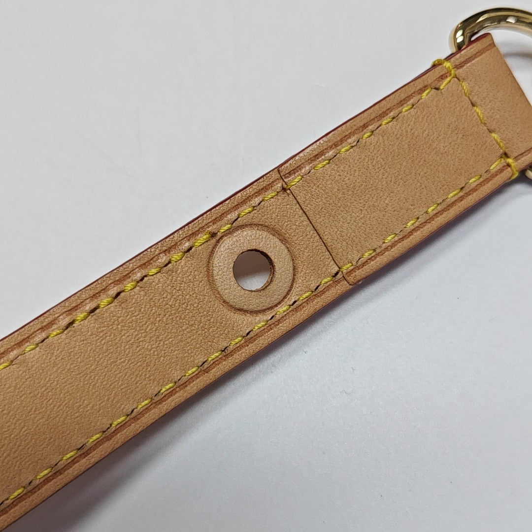 DAUPHINE GM Monogram Coated Canvas Brown