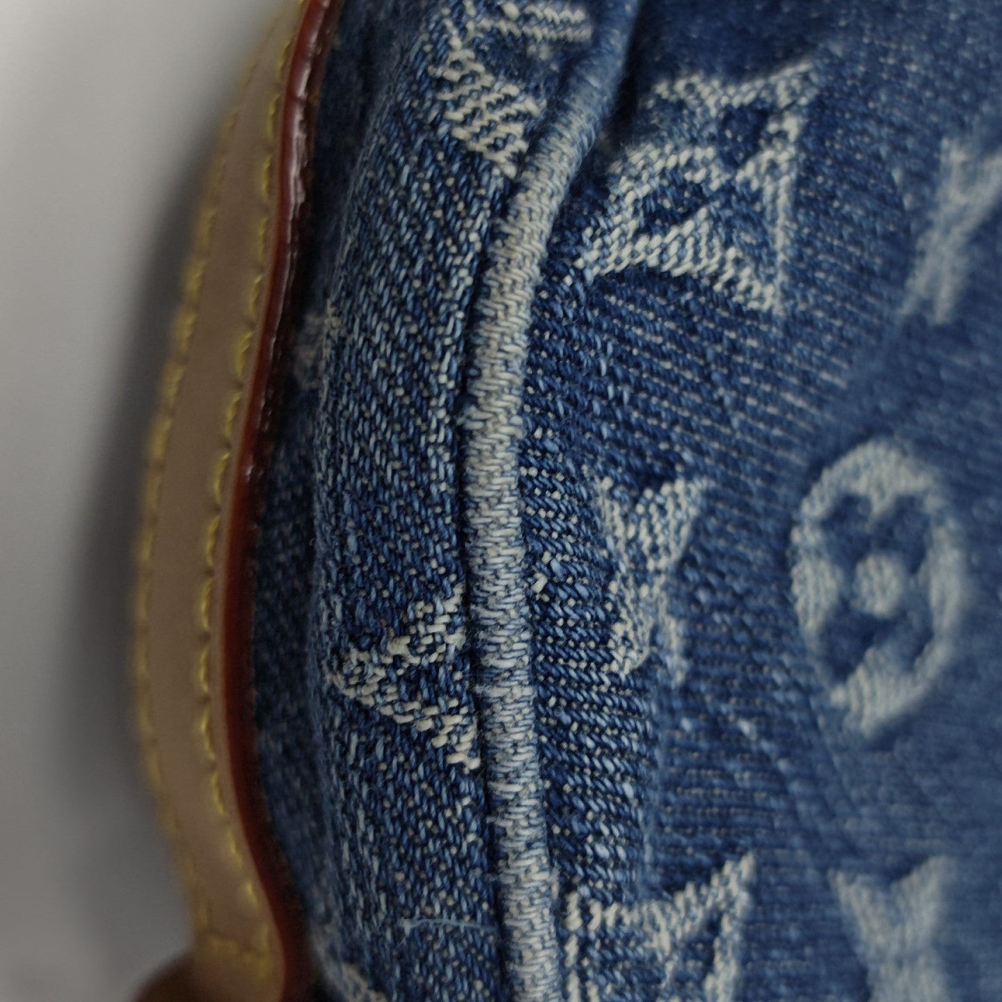 CROISSANT PM Monogram Canvas Blue