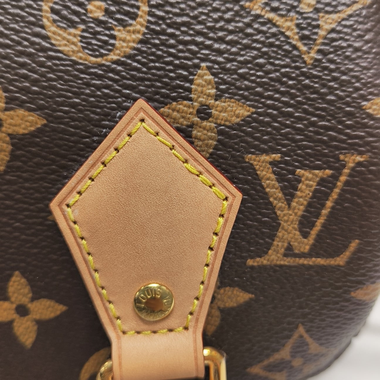 SPEEDY 20 Monogram Coated Canvas Brown